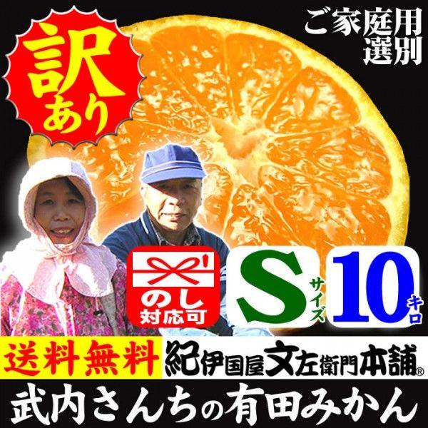 y\̔zC`IV  Lc݂ 񂿂̗Lc݂(STCY)10kg ƒp