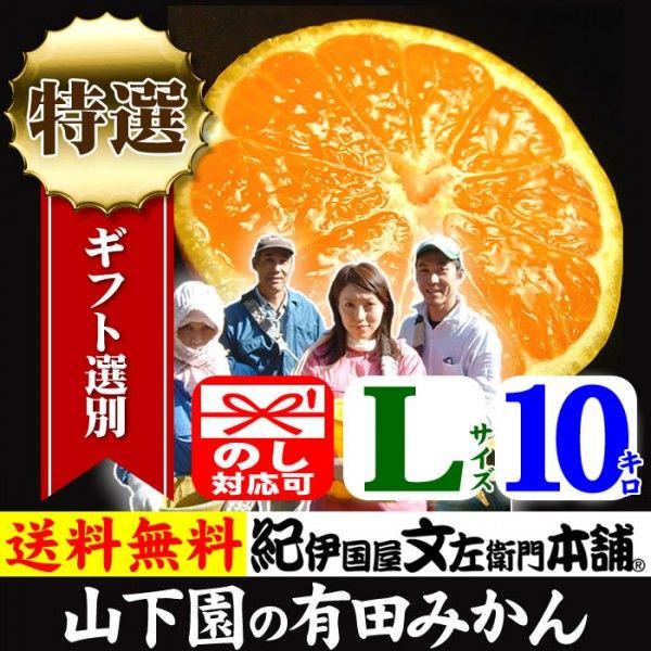 y\̔za̎RLc݂@R̗Lc݂ IMtg@(LTCY) 10kg B݂Éu肽݂vł͂ȂAu肾݂vł