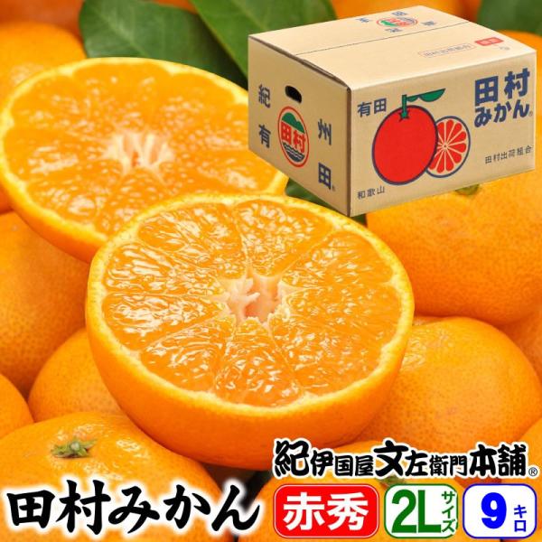 年始出荷】田村みかん 赤秀 LL 9キロ 特選 贈答用ギフト選別品 特大