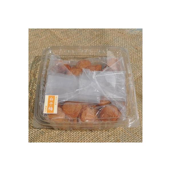 󂠂 IB߂ڂ ~800g(ςς̂Ȃ̃E{V)E썂~(Ԃ,؂,,_,Fނ,s)a̎RY 