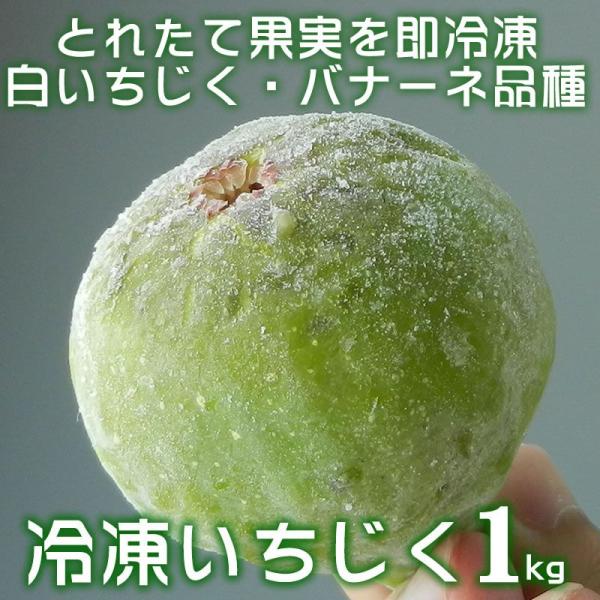 iⓀj 1kg iFoi[l (EC`WNEԉʁ^a̎RLcSL쒬)iN[Ⓚ֔