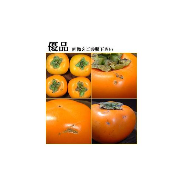 ` IBa̎R킯햳`@ƒp 7.5kg L 36 Dii󂠂 sj Ȃ݂ Ȃ`/j`iЂ炽˂Ȃ`jJL 