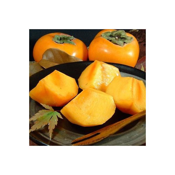 y\̔z`Ea̎R̊`ipEj@Y񂿂̕xL`inj@3.5`4kg 12`16