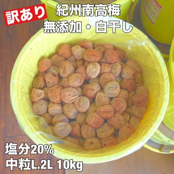 種抜き白干し梅 無添加　無選別　10kg入り　紀州産 訳あり 無添加・無着色 紀州南高梅白干梅 10kg L.2Lサイズ 完熟梅