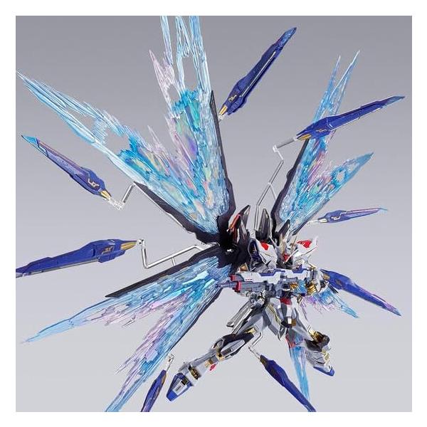 (新品/未開封品)(即納) METAL BUILD ストライクフリーダムガンダム 光の翼オプションセット Re：PACKAGE 機動戦士ガ ンダ ムSEED DESTINY