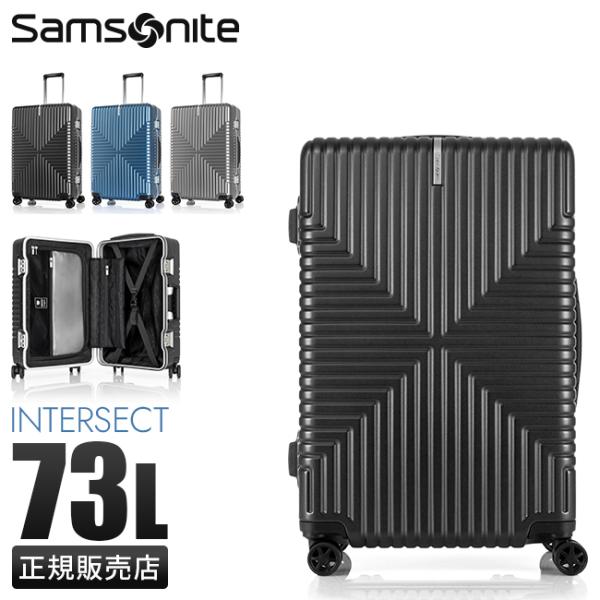 Samsonite 　サムソナイト　大型スーツケース business-bugs_gv5-002