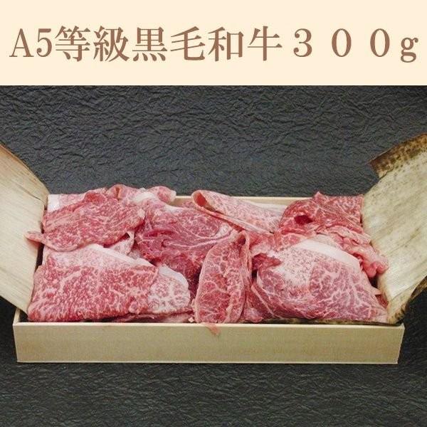 A5 јa ؂藎Ƃ 300g ɐd