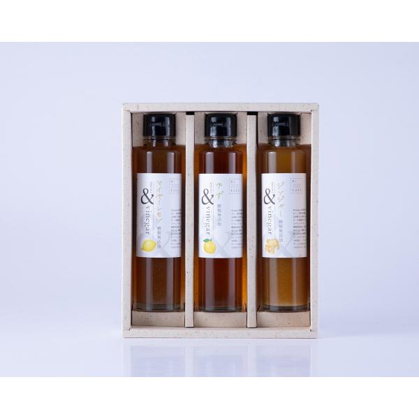 Iׂ ސ| vinegar 3{MtgZbg(}C[A䂸AWW[IAu[x[A~AÉāA) MIKURAVINEGARY