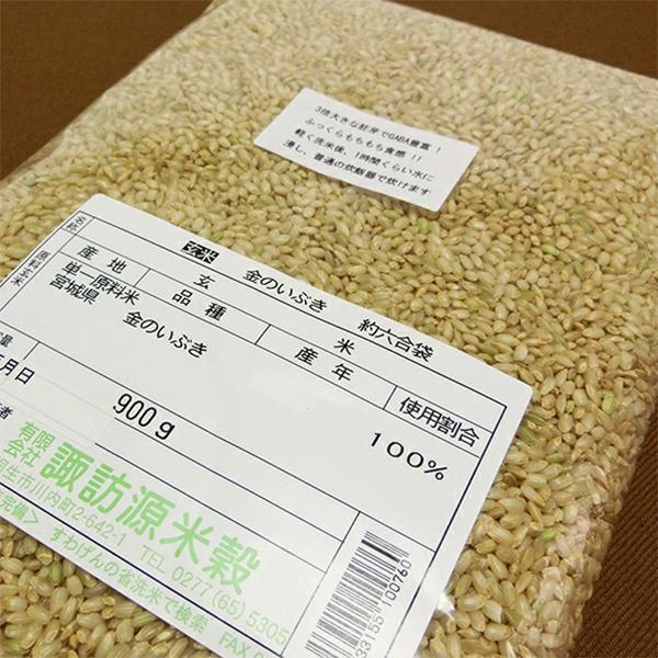 V ߘa7NY ̂Ԃ   900g ^pbN 킰̏Ȑ  uh {錧