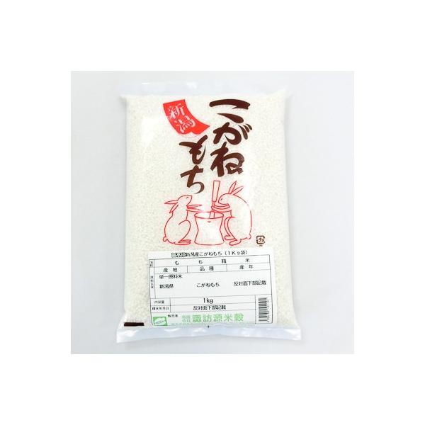 ߘa6NY VY ˂ 900g  킰̏Ȑ