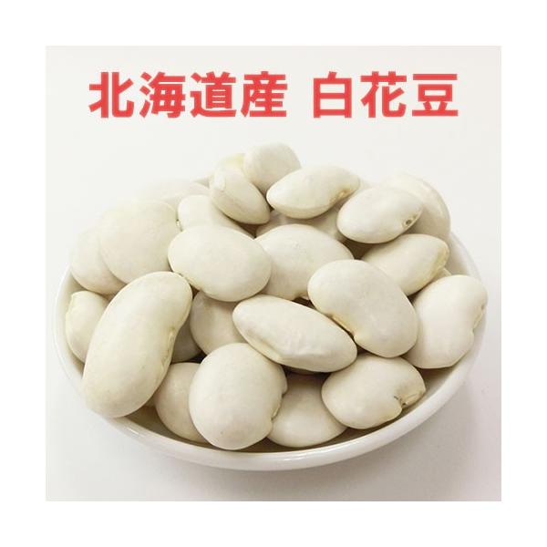令和6年産 北海道産 白花豆 500g メール便
