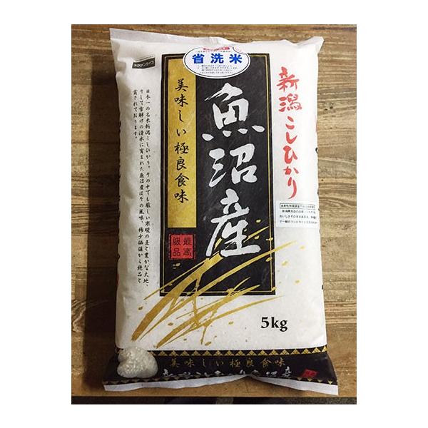 V ߘa7NY V YRVqJ 5kg P Mtg ϔ 킰̏Ȑ