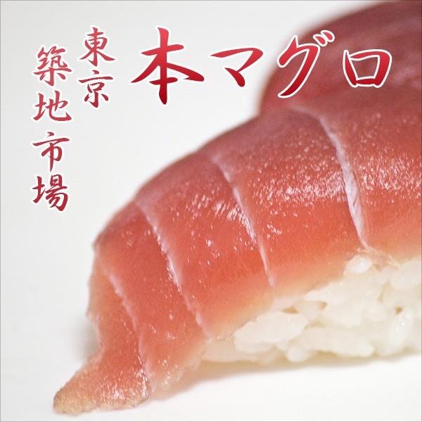 築地の本マグロ 約500g A品 中トロ 赤身 Uohiko03 物産展グルメ 通販 Yahoo ショッピング