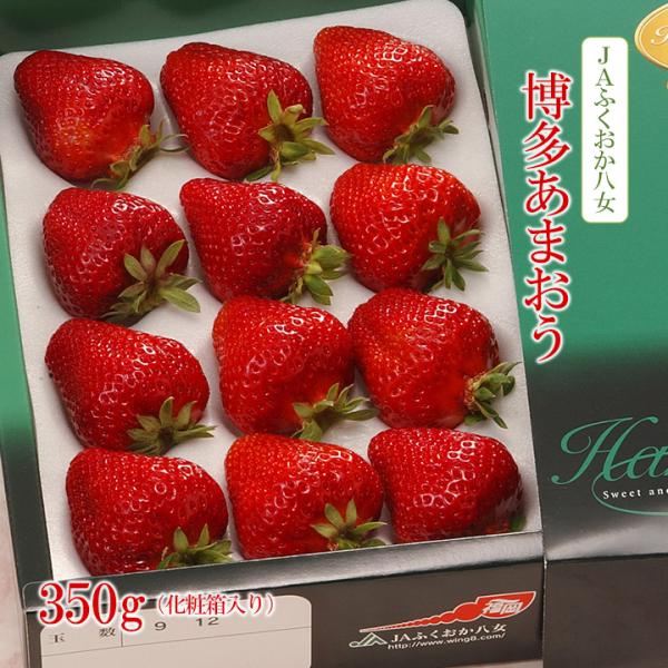 [Release date: December 1, 2025]あかい！ まるい！ おおきい！ うまい！4拍子揃った福岡県のブランド苺「あまおう」。濃い甘味のなかに、ほのかな酸味がバランスよく調和していることや食べ応えのある大きさ、艶のある...