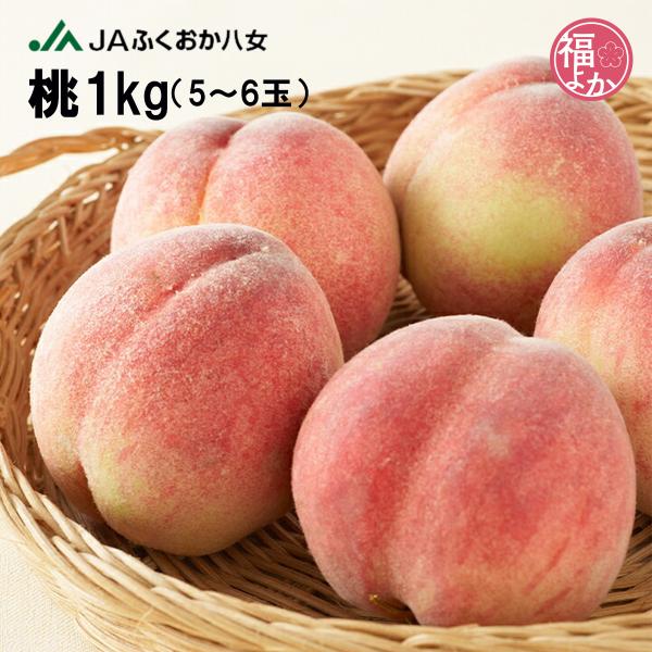 桃 1kg（化粧箱）JAふくおか八女 ６月中旬〜下旬にお届け 父の日 夏ギフト 2026 福よかマーケット