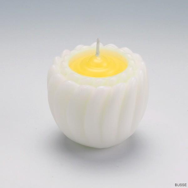 @̉Ԃ̃[\N Ȃu} zCg/ T415W