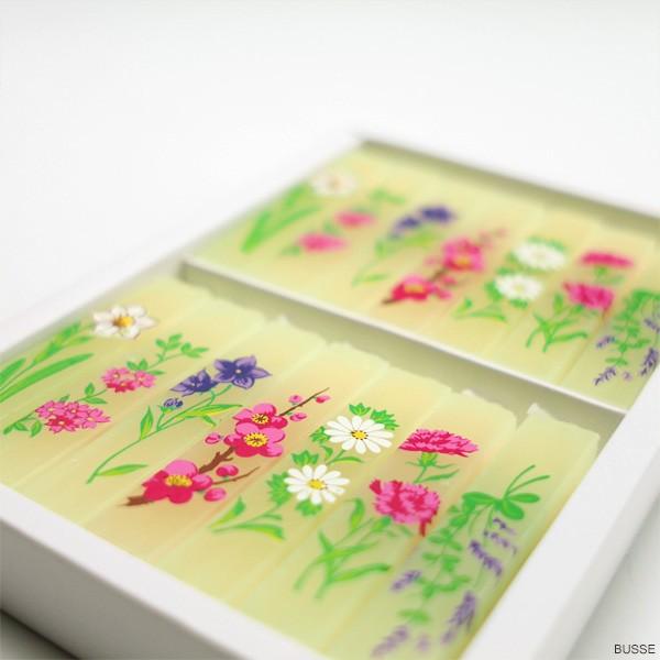 X ݂낤 [f ԃA\[g 14{