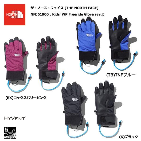 the north face freeride