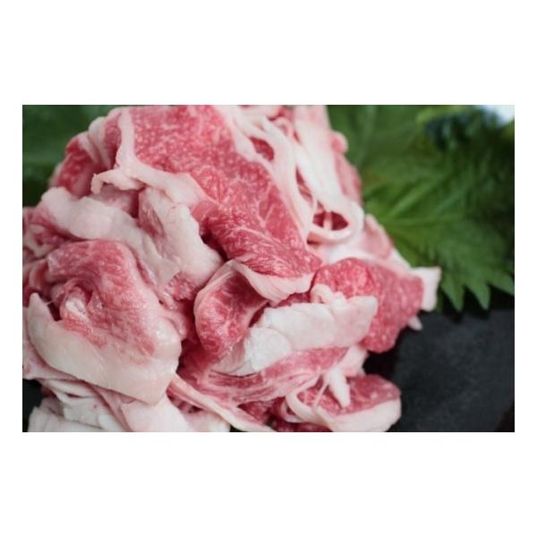 国産牛切落し肉（500g）