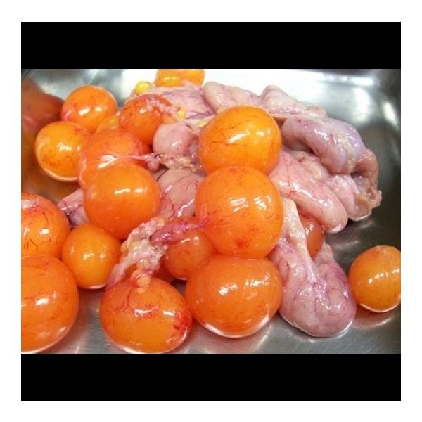 鶏玉ひもとキンカン 輸卵管 卵巣 兵庫県産 500g 冷凍パック Buyee Servicio De Proxy Japones Buyee Compra En Japon