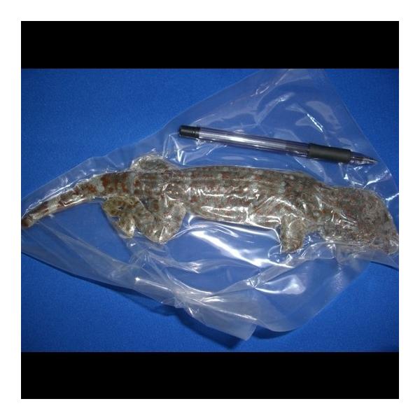 Hpy^CYz1CkLTCYli100`150gjⓀpbN