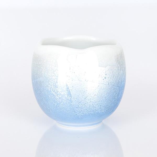 Jʂق̂ u[ uv u Vv 킢  RpNgv  d  d  _ dX