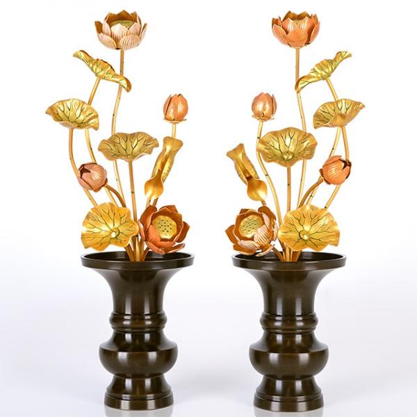  uA~ 79{ WʐF ΁v   dp  pi     킢 RpNg d  _ dX