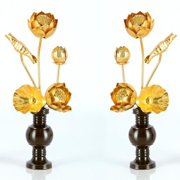   uA~ 35{ Fؕepv   dp pi     킢 RpNg d  _ dX