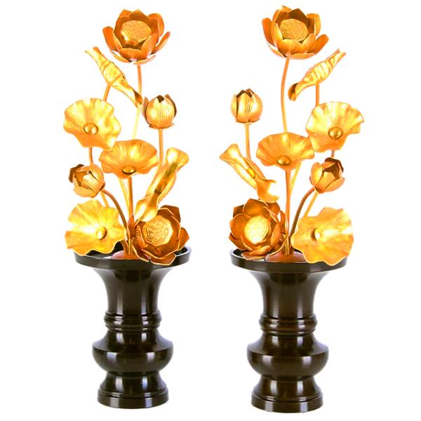   uA~ 69{ Fv   dp  pi     킢 RpNg d  _ dX