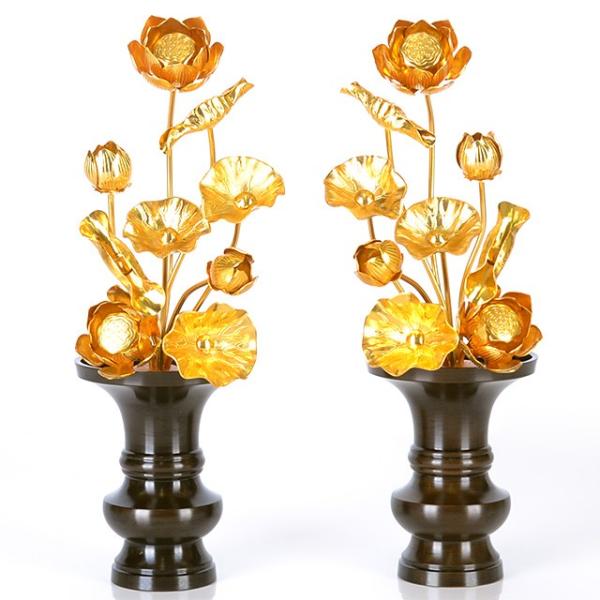   uA~ ڐ9{ F v   dp pi     킢 RpNg d  _ dX