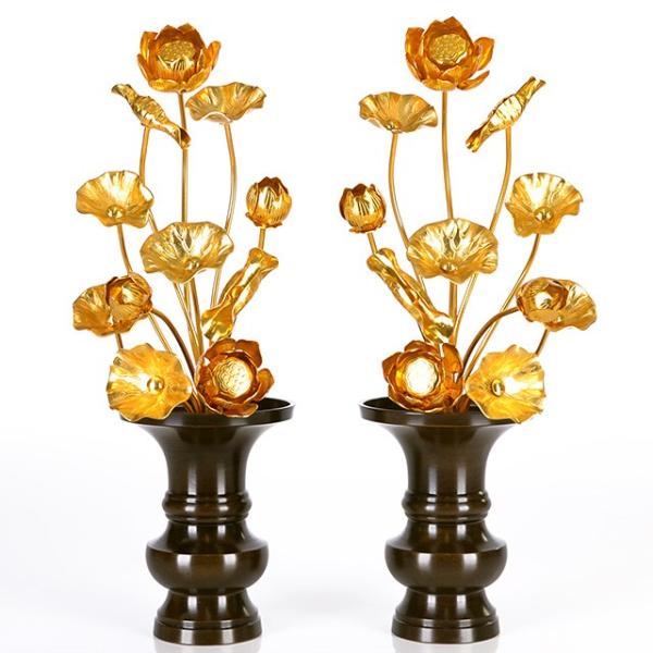   uA~ 611{ Fv   dp  pi     킢 RpNg d  _ dX