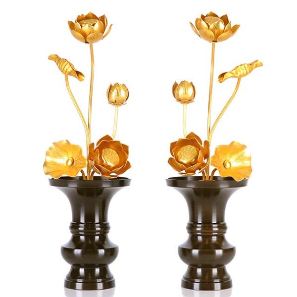   uA~ 35{ v   dp  pi     킢 RpNg d  _ dX