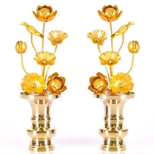   uA~ 67{ v   dp  pi     킢 RpNg d  _ dX