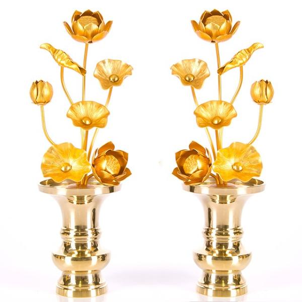   uA~ 97{ v   dp  pi     킢 RpNg d  _ dX