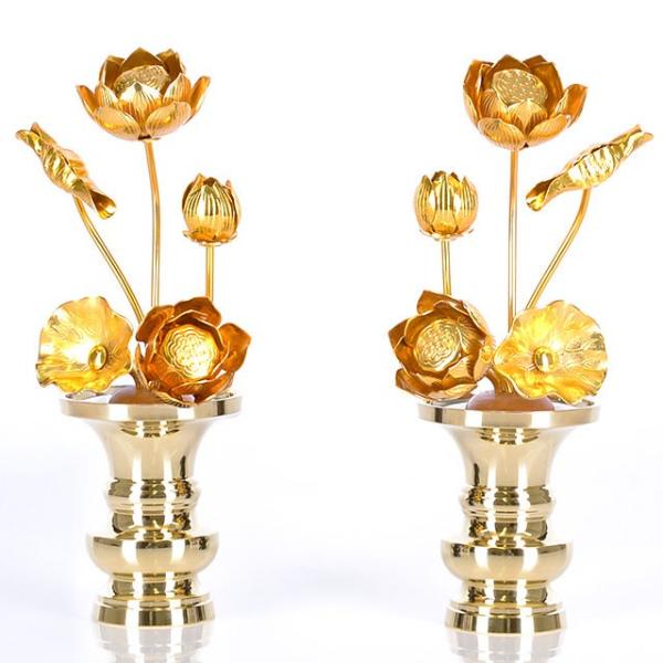   u^J 65{ {tv   dp  pi     킢 RpNg d  _ dX