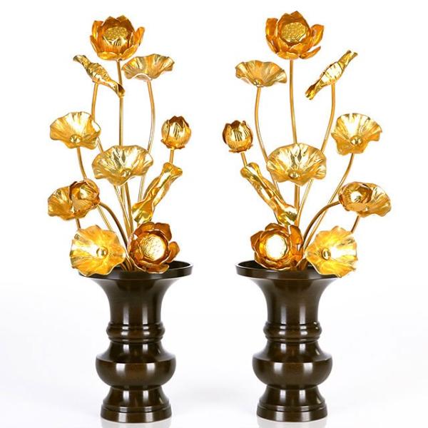   u^J 1211{ {tv   dp  pi     킢 RpNg d  _ dX