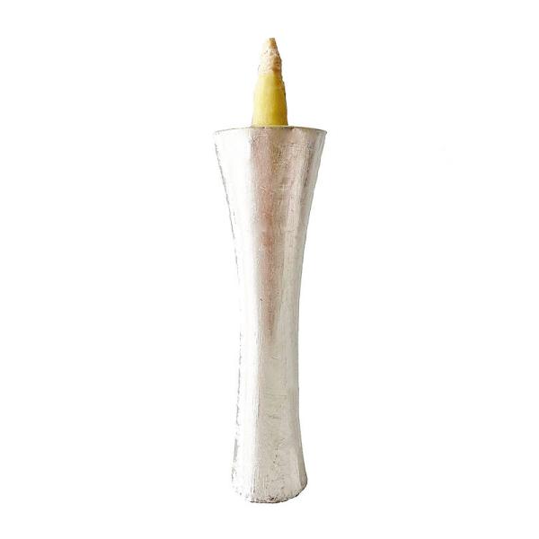 a낤  CJ^ 100 21.5cm