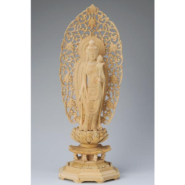 ���� ���ω� ���ѐA ���p��� �M�^�������w 3.5��