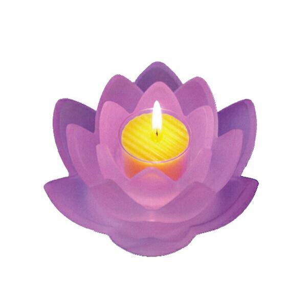  a낤 [\N LOTUS GRACE [^X OCX Lh LED XC i Mtg p ~ ~ ~