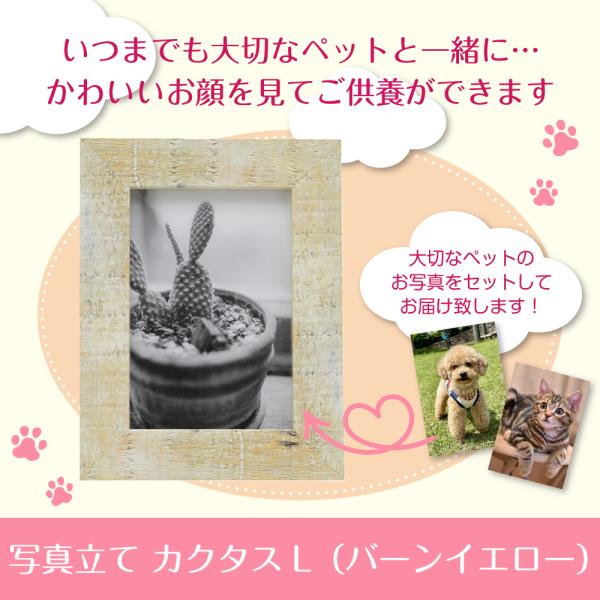 いつでもそばにあの子を感じることができ、お顔を見てご供養ができるよう届いたその日にご使用いただけます！＜商品名＞ペット用　写真立て　カクタスL＜商品内容＞サイズ：124×163×14mm材質：木製材料：PETシート・MDF、フレーム/樹脂製...