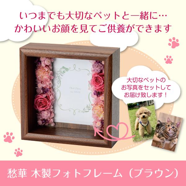 いつでもそばにあの子を感じることができ、お顔を見てご供養ができるよう届いたその日にご使用いただけます！＜商品名＞ペット用　愁華　木製フォトフレーム＜商品内容＞サイズ：180×180×60mm材質：木製材料：MDF・ウレタン・プリザードフラワ...