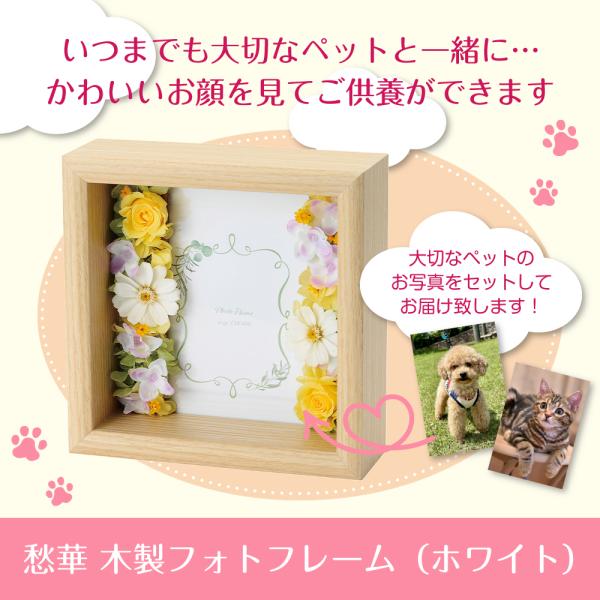 いつでもそばにあの子を感じることができ、お顔を見てご供養ができるよう届いたその日にご使用いただけます！＜商品名＞ペット用　愁華　木製フォトフレーム＜商品内容＞サイズ：180×180×60mm材質：木製材料：MDF・ウレタン・プリザードフラワ...