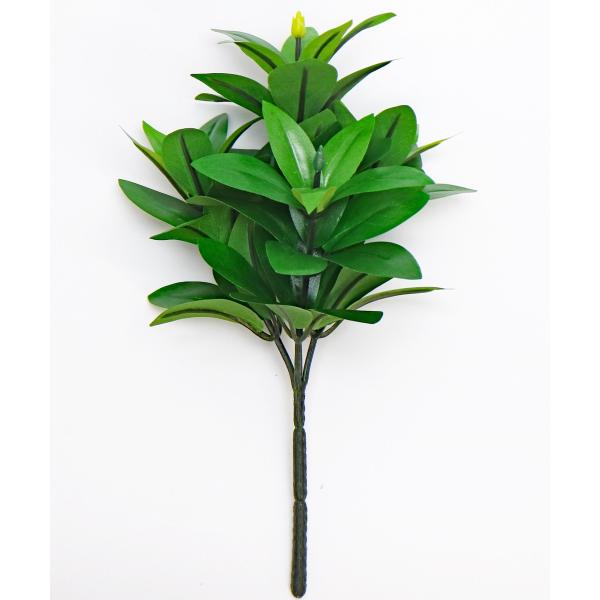 Ԃ݁iVL~EEVLrj S 27cm 􂦂Ē ~jTCY 1{