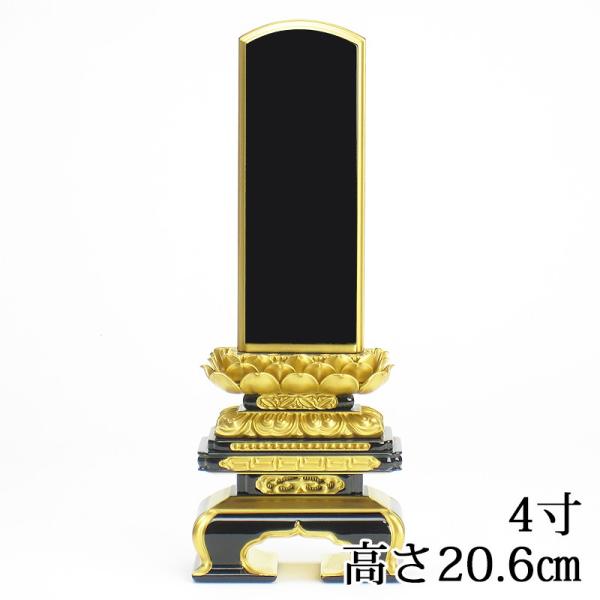 Y CFʔv  ɏq@ ʔv 4i20.6cmj