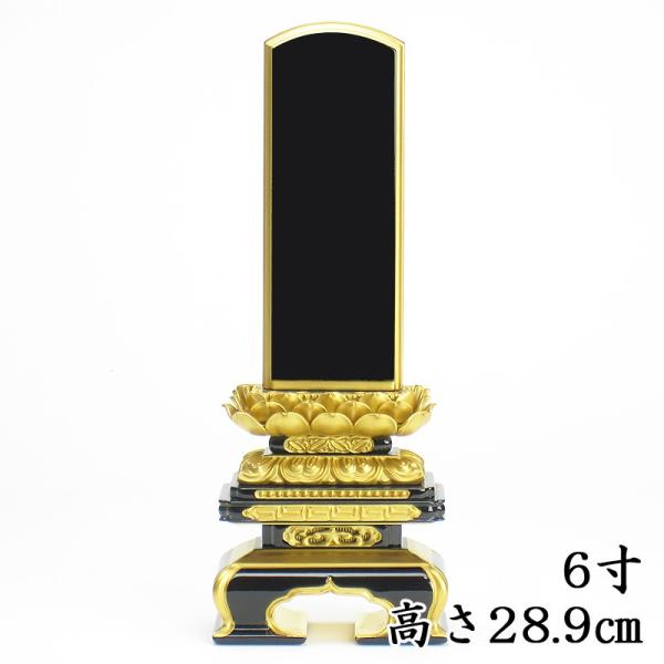 Y CFʔv  ɏq@ ʔv 6i28.9cmj