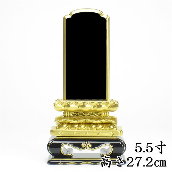 Y CFʔv  㓙Lە ʔv 5.5i27.2cmj