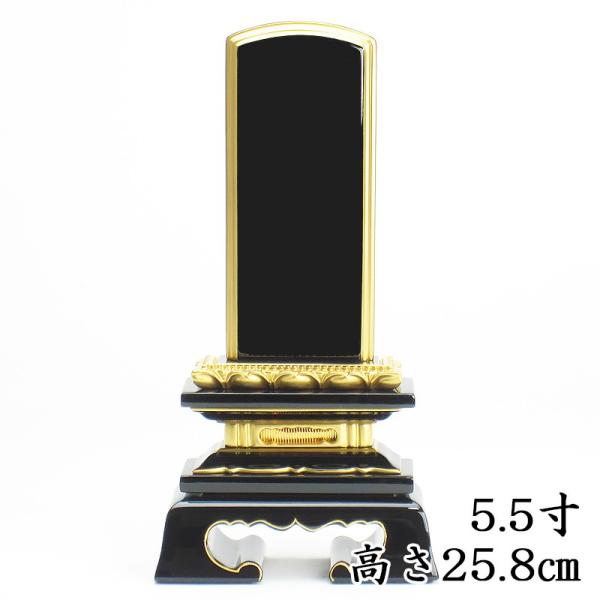 COY Jh ʔv @tt@5.5 i25.8cmj