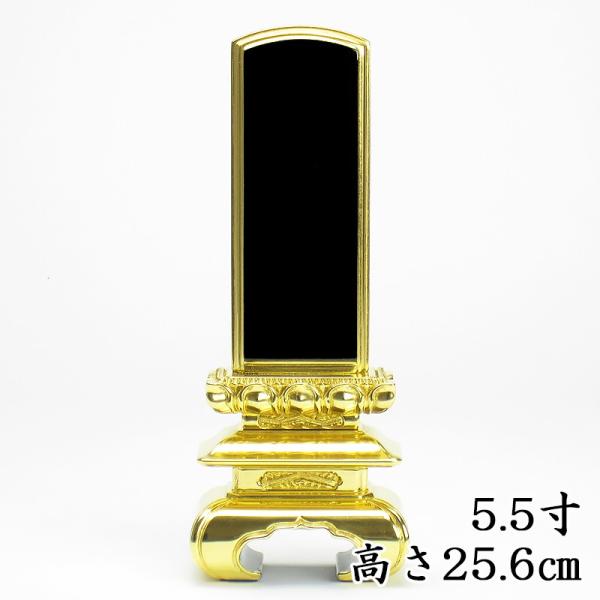 COY Jhʔv  ㋞O ʔv 5.5i25.6cmj