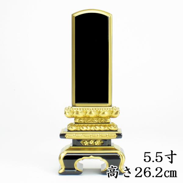 Yhʔv  ㋞^q ʔv 5.5i26.2cmj