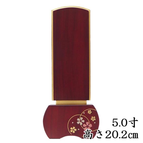 COY _ʔv D wSԁx[Y5 20.2cm